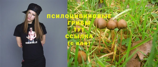 герыч Белокуриха