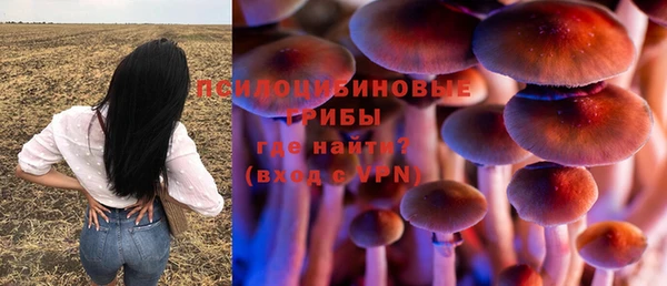 гидра Белоозёрский