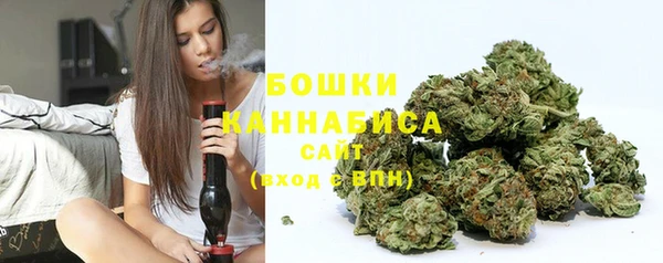 гидра Белоозёрский