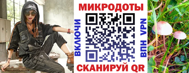 Галлюциногенные грибы Magic Shrooms  blacksprut вход  Облучье 